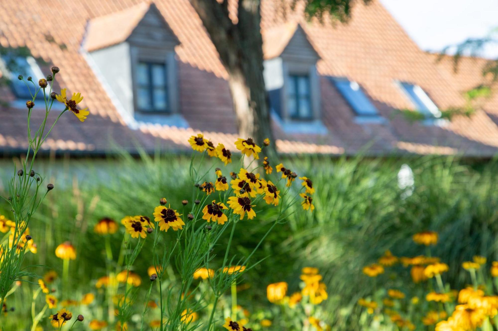 Hotel Le Cap Hornu Saint-Valéry-sur-Somme Zewnętrze zdjęcie